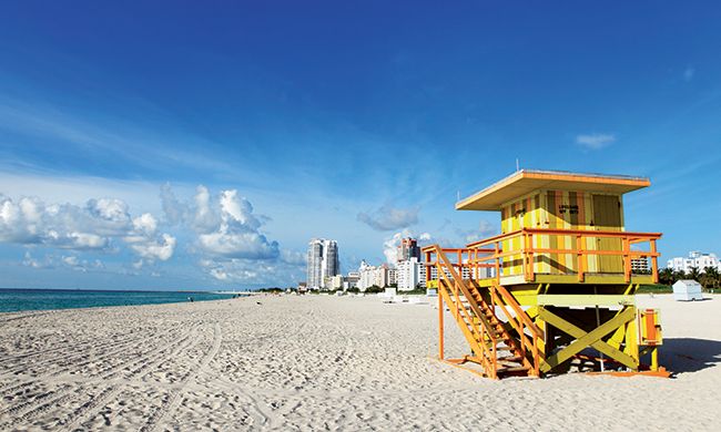 1ER REGARD ETATS SUD & MUSIQUE + EXTENSION SUD pas cher photo 8