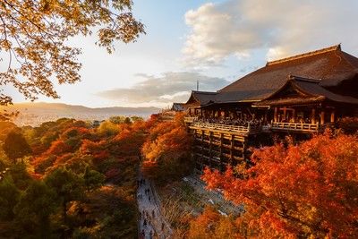 Japon d'hier et d'aujourd'hui 5* pas cher photo 1