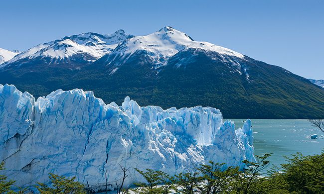 1 ER REGARD ARGENTINE pas cher photo 9