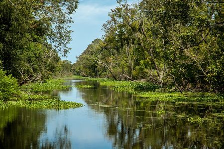 Splendeurs du Sud des USA extension Charme du Sud & Floride 17J/15N - 2020 pas cher photo 7
