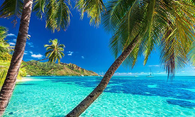 CONFIDENTIEL POLYNESIE pas cher photo 1