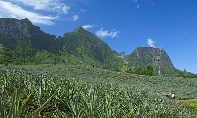 CONFIDENTIEL POLYNESIE pas cher photo 5