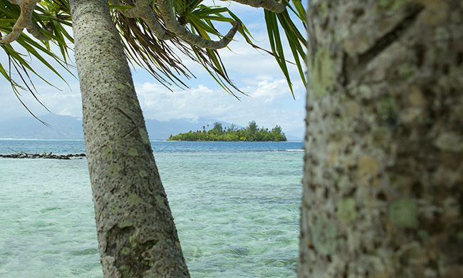 CONFIDENTIEL POLYNESIE pas cher photo 6