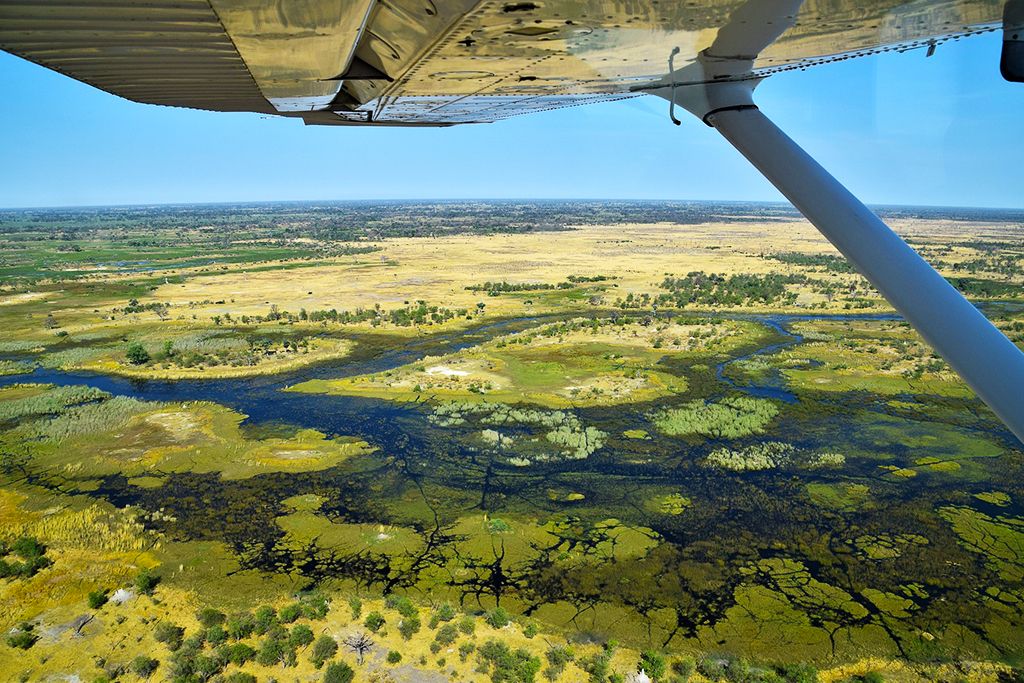 Les Chutes Victoria et le meilleur du Botswana 3* pas cher photo 5
