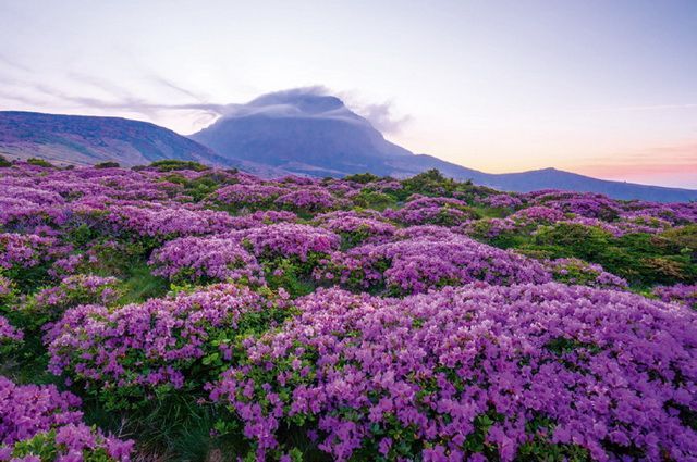 Le Royaume du Matin Calme + Ile de Jeju - Corée du Sud pas cher photo 1