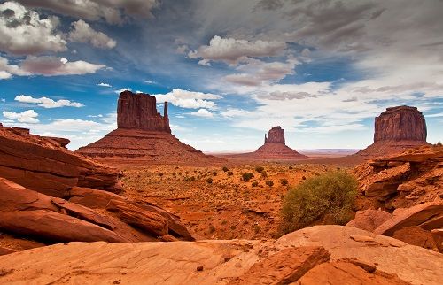 Splendeurs de l'Ouest des USA & Côte Pacifique & extension New York - Version Confort 17J/15N - 2020 pas cher photo 4