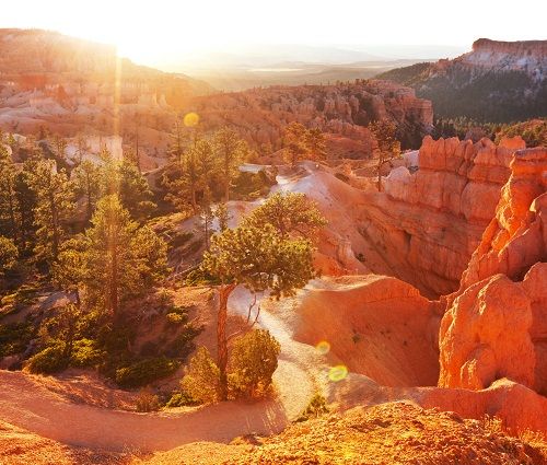 Splendeurs de l'Ouest des USA & Côte Pacifique & extension New York - Version Confort 17J/15N - 2020 pas cher photo 10