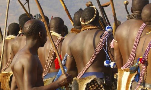 LUMIERE D'AFRIQUE DU SUD pas cher photo 3