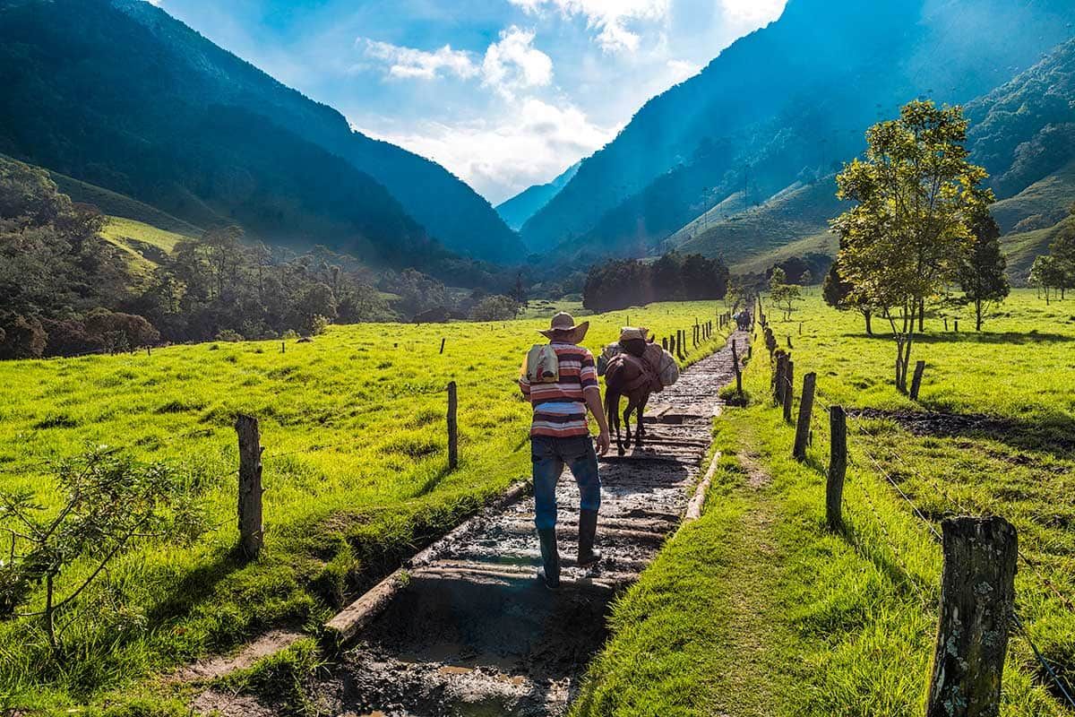 Circuit Le diamant vert + Extension Cartagena pas cher photo 9