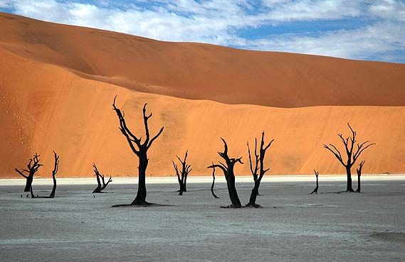 LUMIERE DE NAMIBIE pas cher photo 2