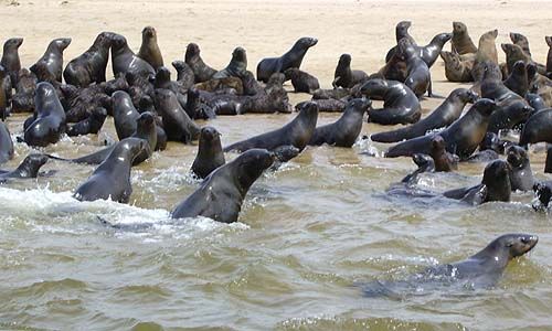 LUMIERE DE NAMIBIE pas cher photo 3
