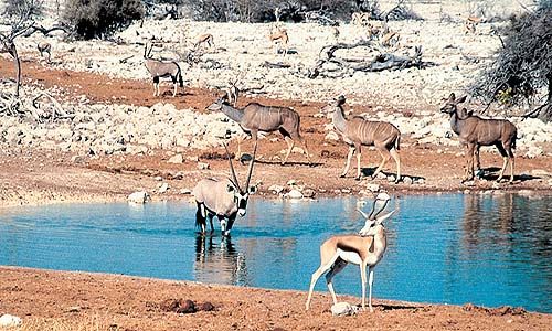 LUMIERE DE NAMIBIE pas cher photo 4