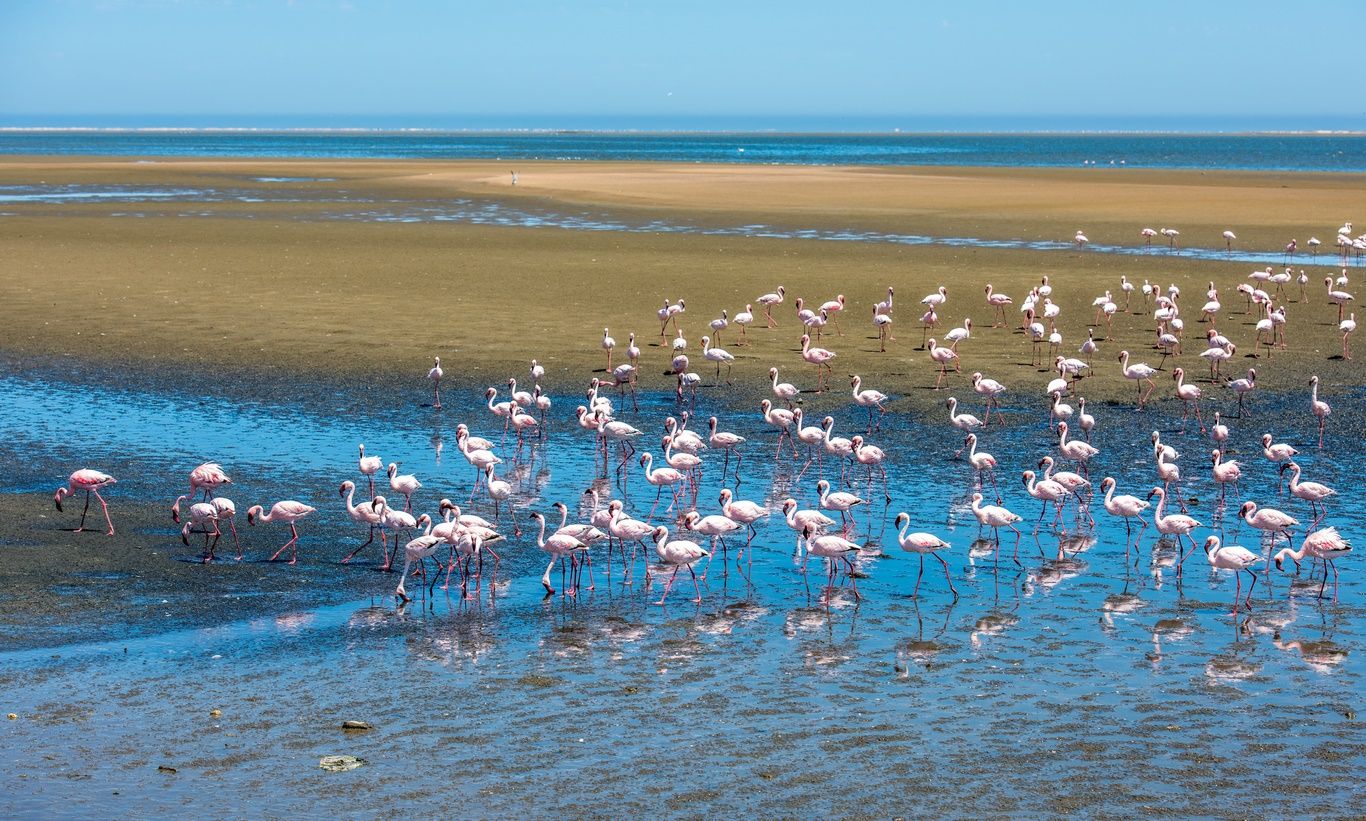 DECOUVERTE DE LA NAMIBIE Ext.CHUTES VICTORIA 14J/11N - Limité à 12 pers. 2020 pas cher photo 2