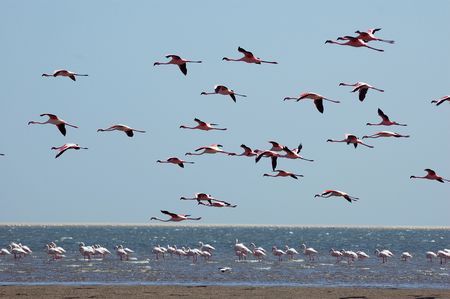 Splendeurs de Namibie & extension Fish River Canyon 14J/11N pas cher photo 7