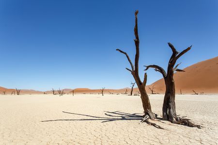 Splendeurs de Namibie & extension Fish River Canyon 14J/11N pas cher photo 11