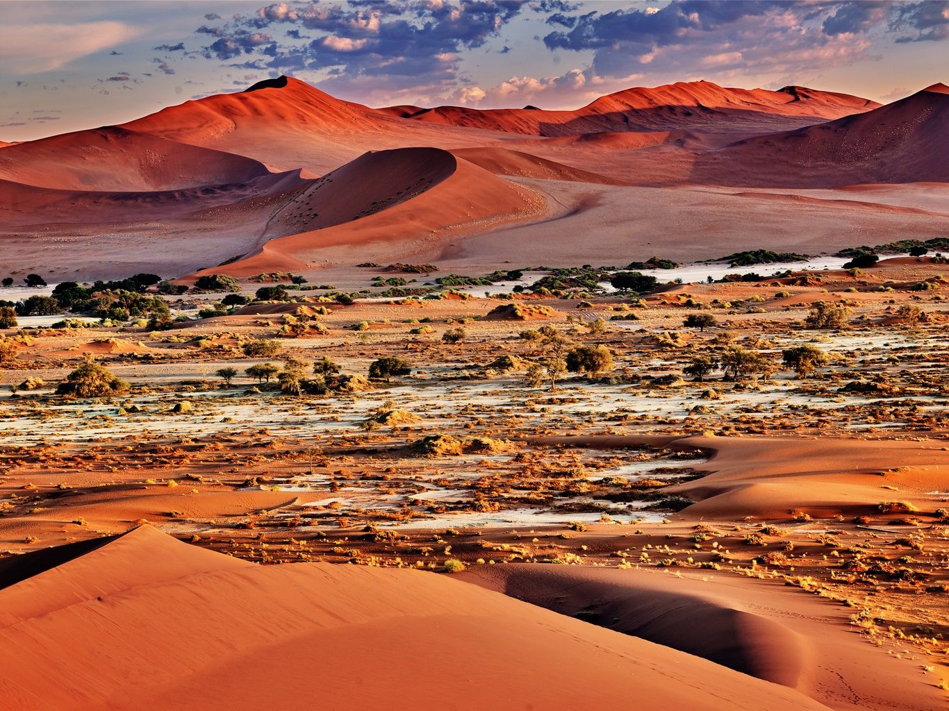 SAFARIS & DUNES D AFRIQUE AUSTRALE 13J/ 10N - Limité à 8 pers. 2020 pas cher photo 1