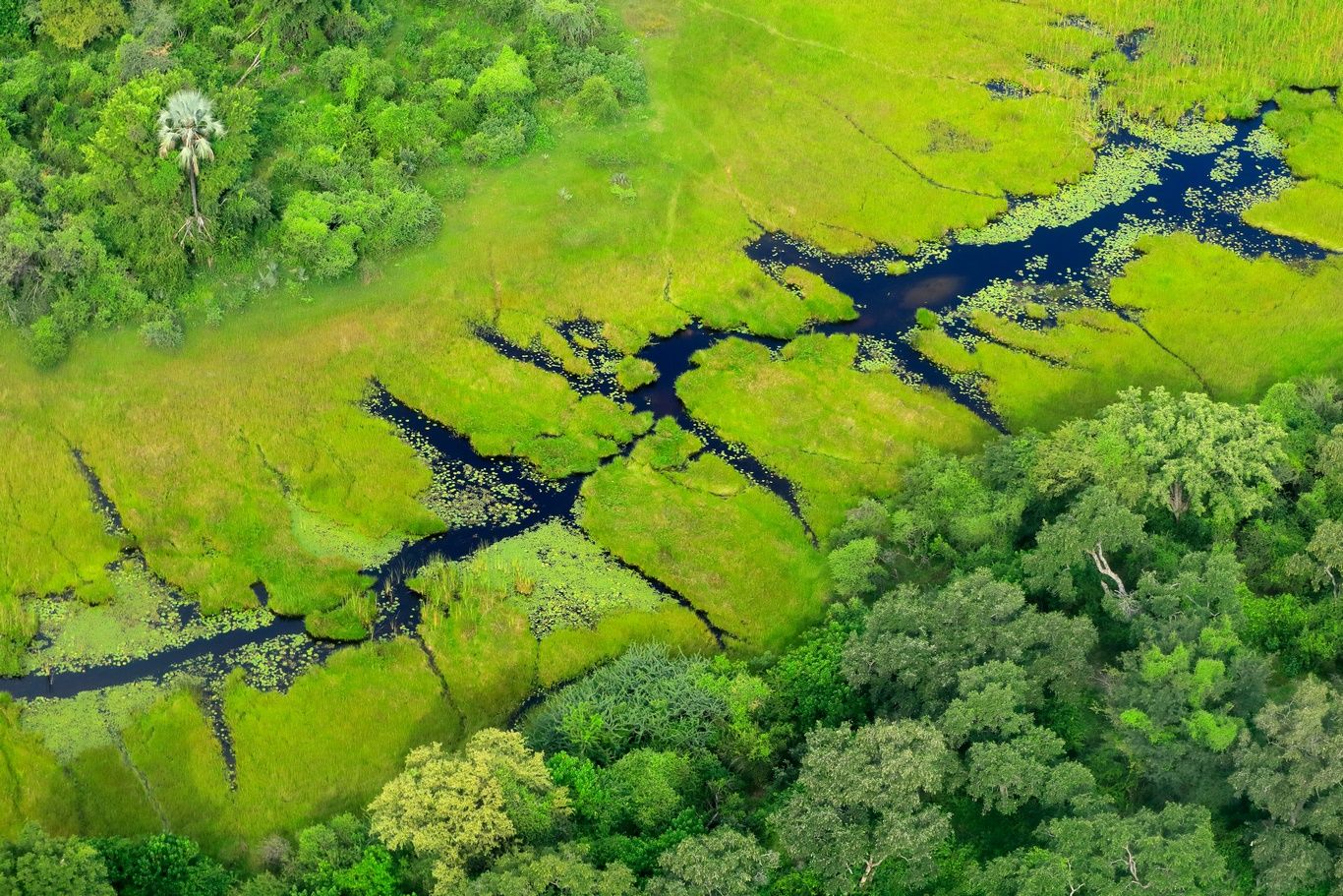 COULEURS DU BOTSWANA 11J/8N - Limité à 9 pers. - 2019/20 pas cher photo 1