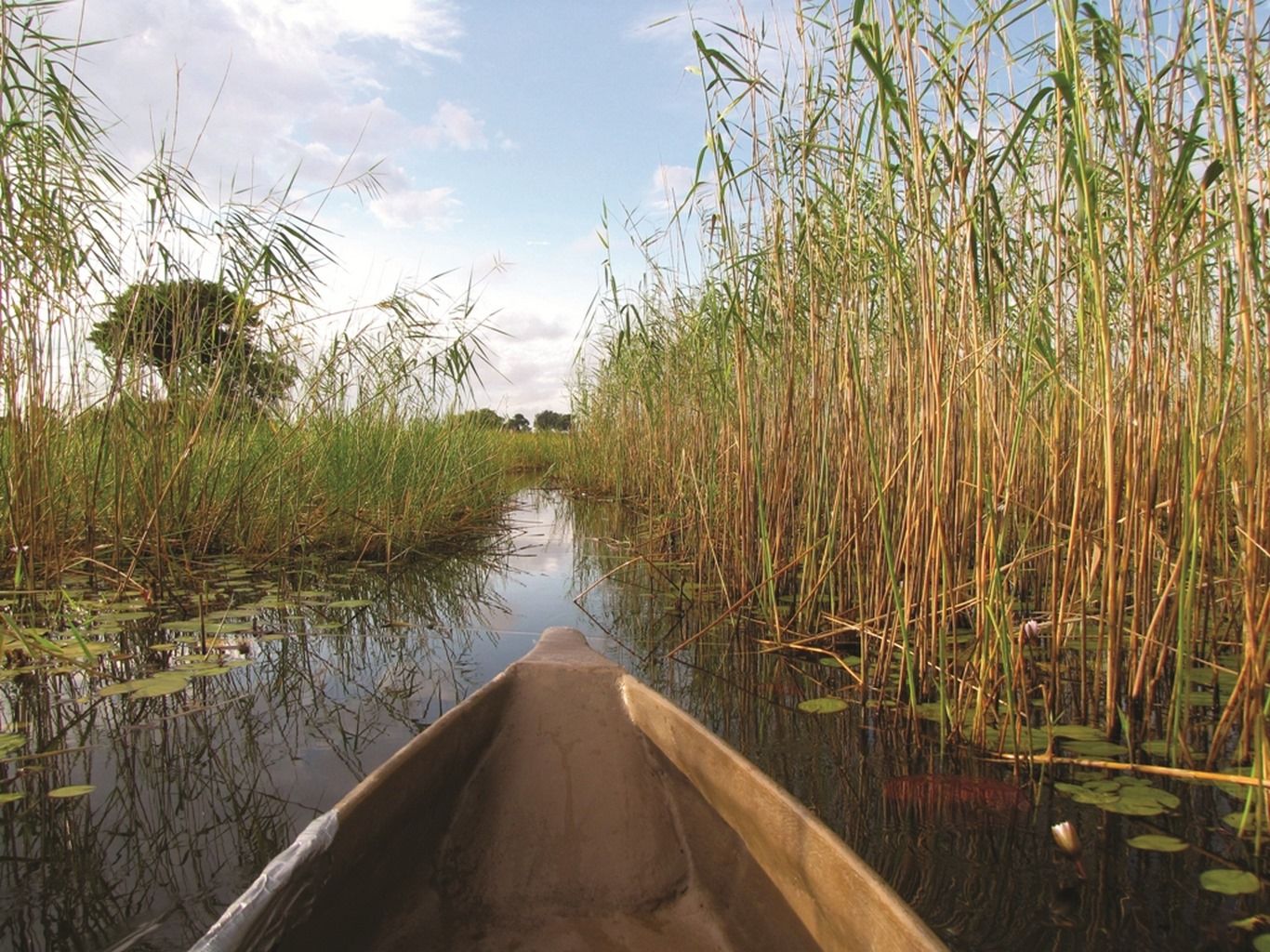 COULEURS DU BOTSWANA 11J/8N - Limité à 9 pers. - 2019/20 pas cher photo 8