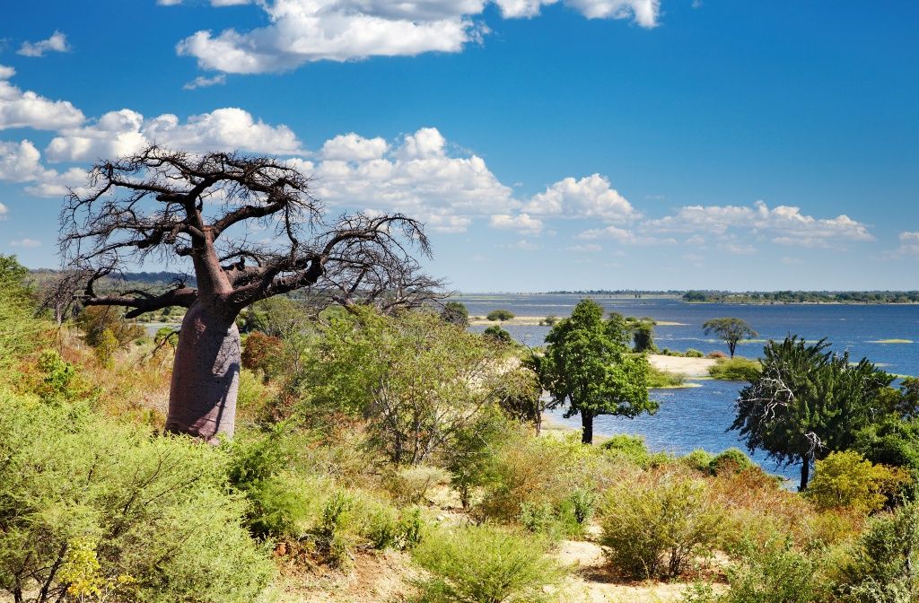 COULEURS DU BOTSWANA 11J/8N - Limité à 9 pers. - 2019/20 pas cher photo 12