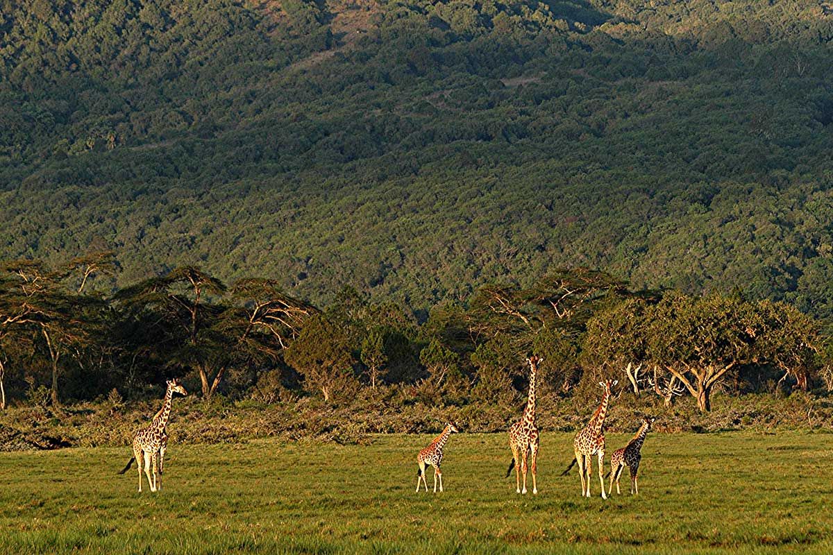 Circuit Grand voyage en terre d'Afrique au départ de Nairobi pas cher photo 4