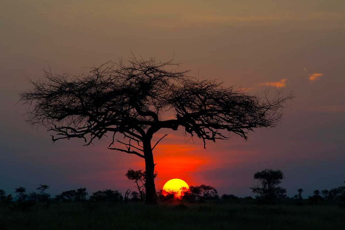 Circuit Grand voyage en terre d'Afrique au départ de Nairobi pas cher photo 8
