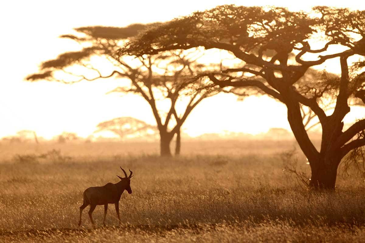 Circuit Grand voyage en terre d'Afrique au départ de Nairobi pas cher photo 10