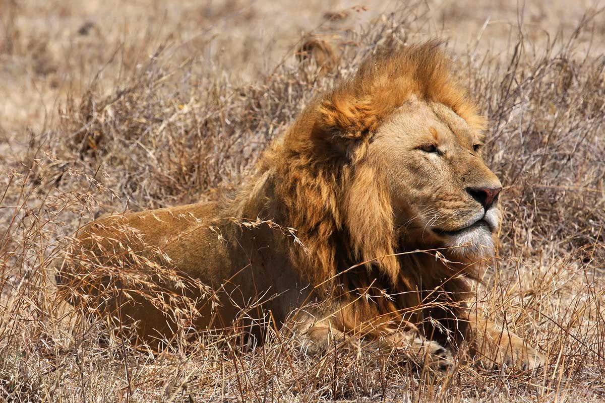 Circuit Grand voyage en terre d'Afrique au départ de Nairobi pas cher photo 11