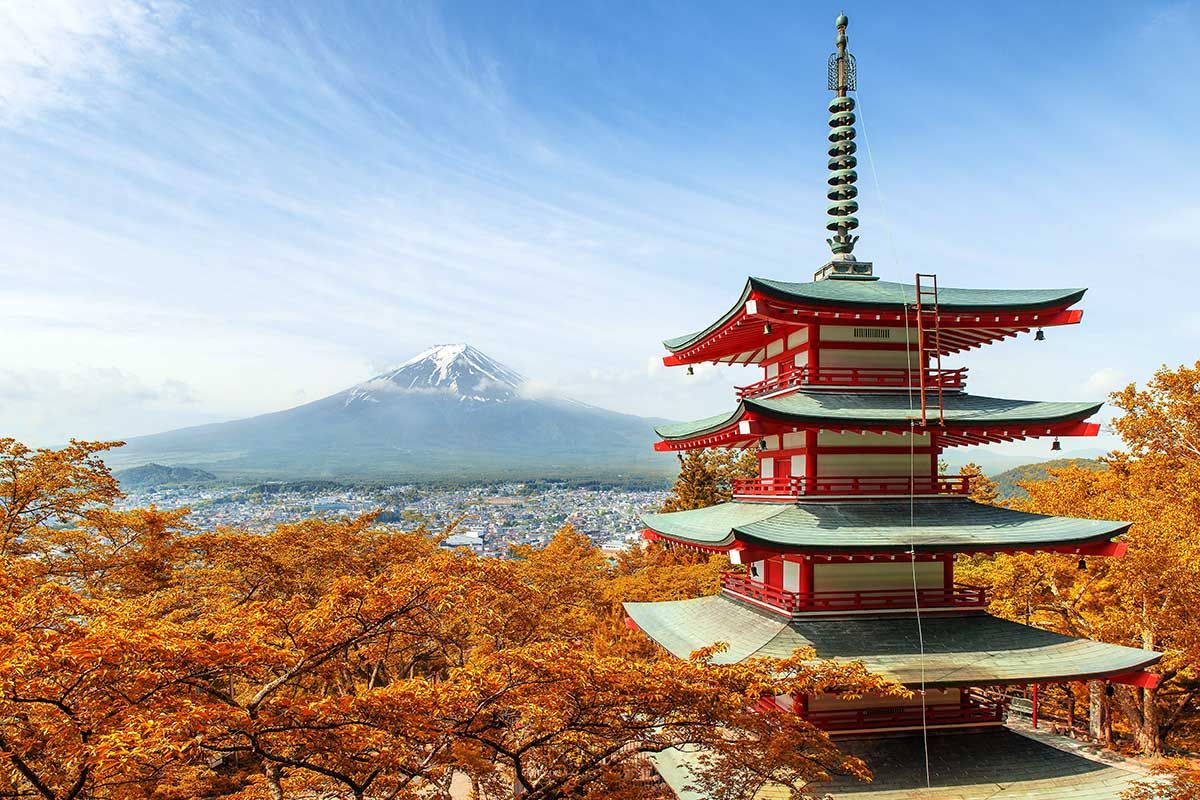 Circuit Japon, passé & présent pas cher photo 5