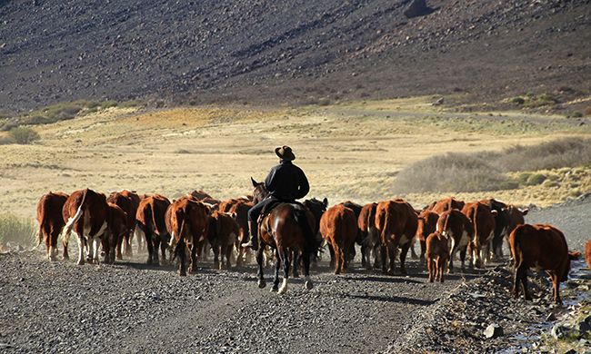 LUMIERES ARGENTINE & CHILI pas cher photo 3