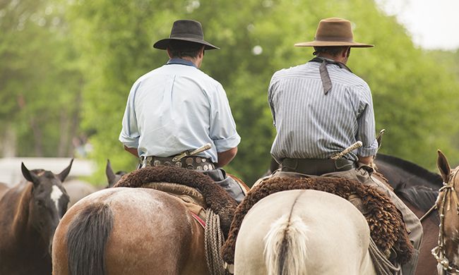 LUMIERES ARGENTINE & CHILI pas cher photo 4