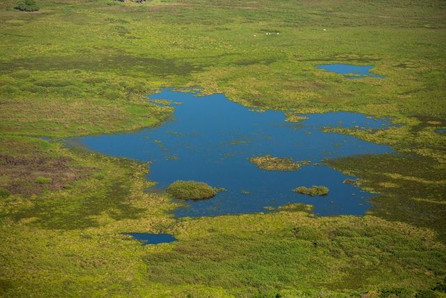 Pré-voyage Pantanal et Merveilles du Brésil 17J/14N - 2020 pas cher photo 8