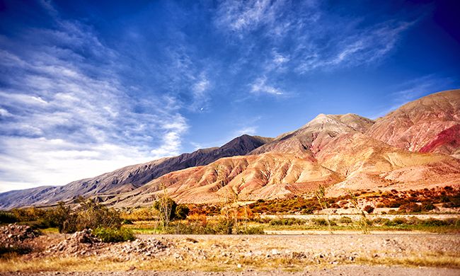 CONFIDENTIEL ANDINES pas cher photo 3