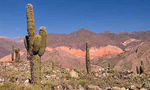 CONFIDENTIEL ANDINES pas cher photo 4