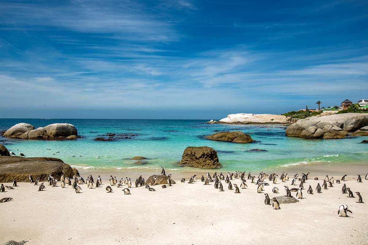 Circuit Pépites d'Afrique du sud + Extension aux chutes Victoria pas cher photo 4
