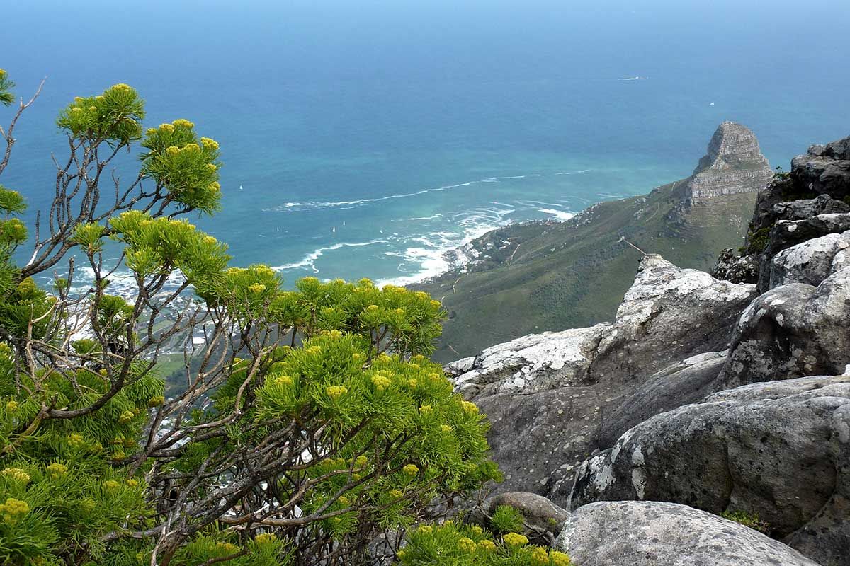 Circuit Pépites d'Afrique du sud + Extension aux chutes Victoria pas cher photo 5