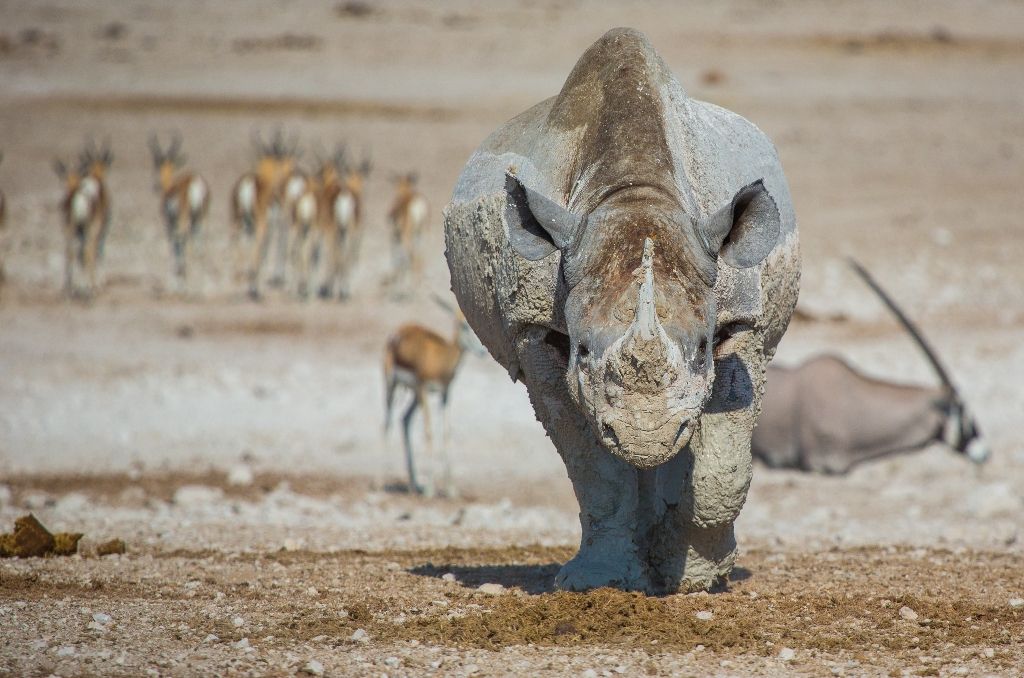 TRESORS D'AFRIQUE AUSTRALE - 15J/12N 2020 pas cher photo 2
