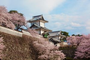 Samourais et Jardins zen avec Lufthansa + Alpes japonaises - Japon pas cher photo 2
