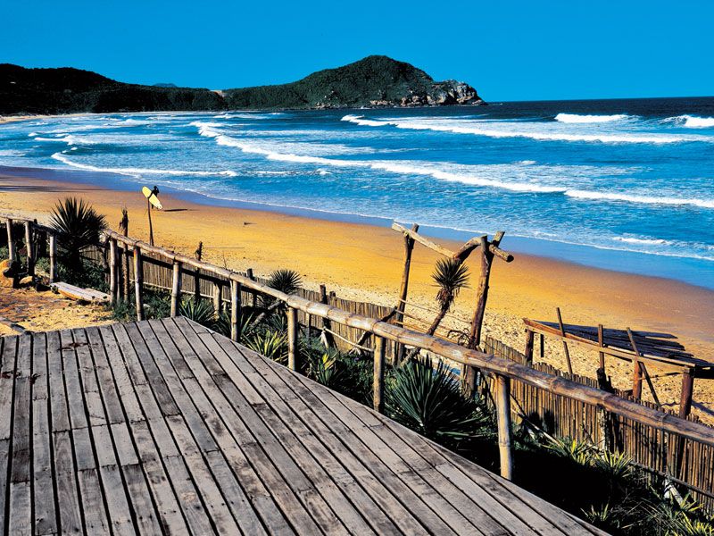 PRE CIRCUIT PANTANAL ET IMPRESSIONS DU BRESIL - 17J/14 N - Limité à 24 pers. 2020 pas cher photo 4