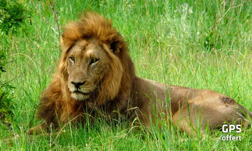 LUMIERE D'AFRIQUE DU SUD + CHUTES VICTORIA pas cher photo 7