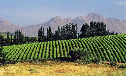 LUMIERE D'AFRIQUE DU SUD + CHUTES VICTORIA pas cher photo 9