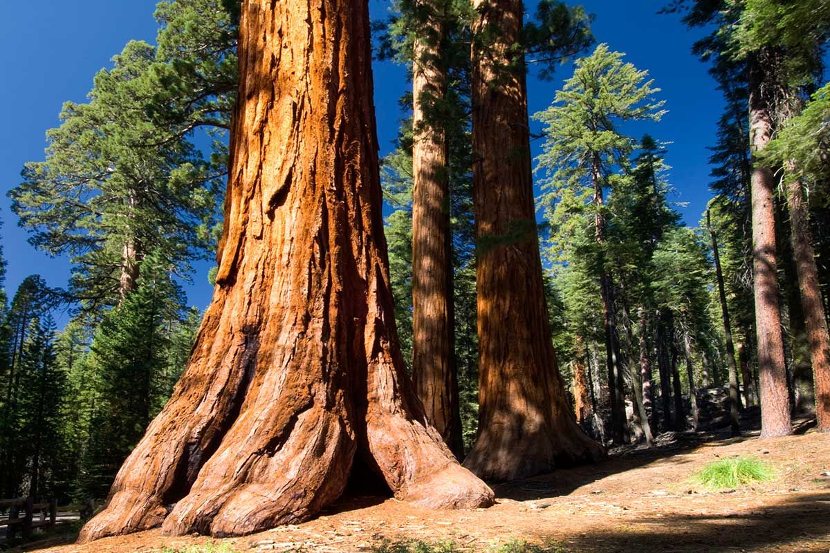 Circuit L'Ouest en Minibus pas cher photo 5