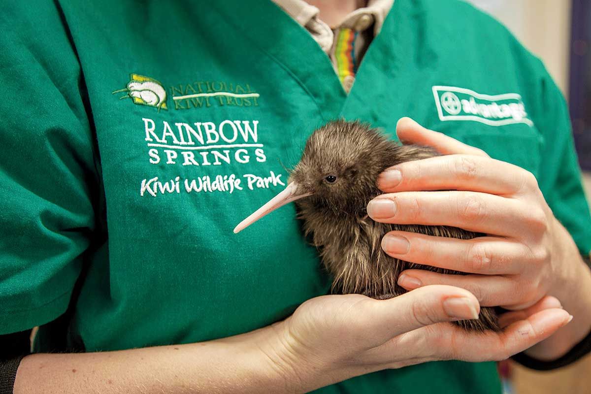 Circuit Découverte de la Nouvelle-Zélande pas cher photo 4