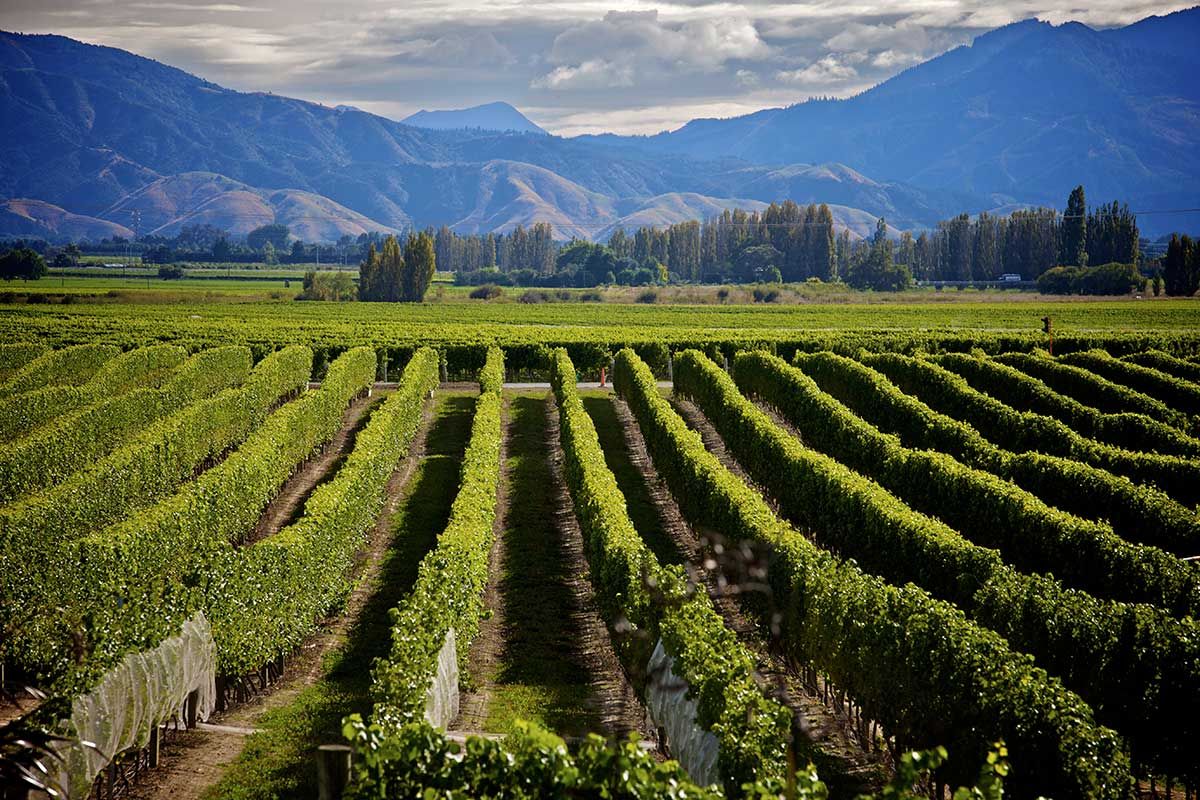 Circuit Découverte de la Nouvelle-Zélande pas cher photo 11
