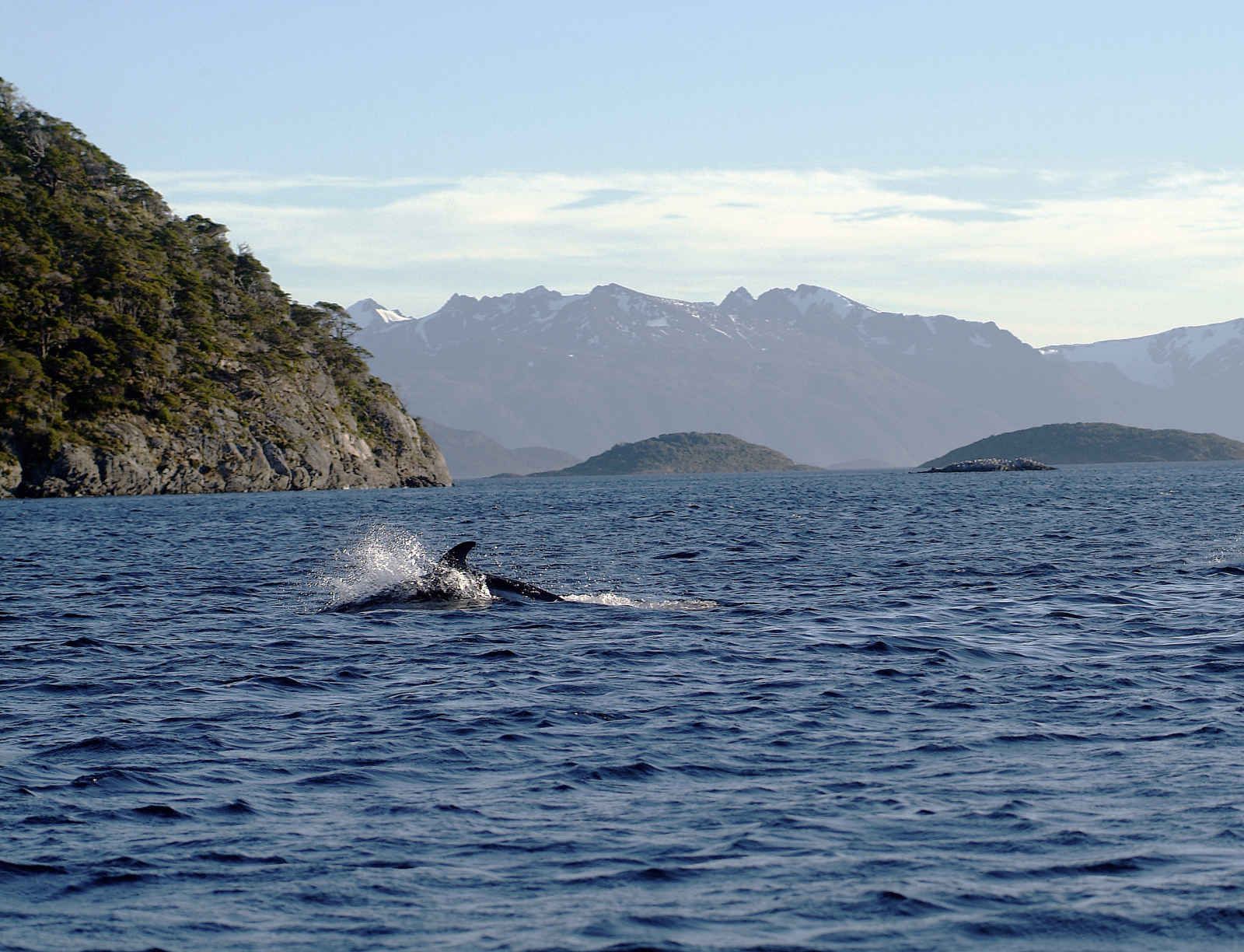 Sur les traces des explorateurs pas cher photo 2