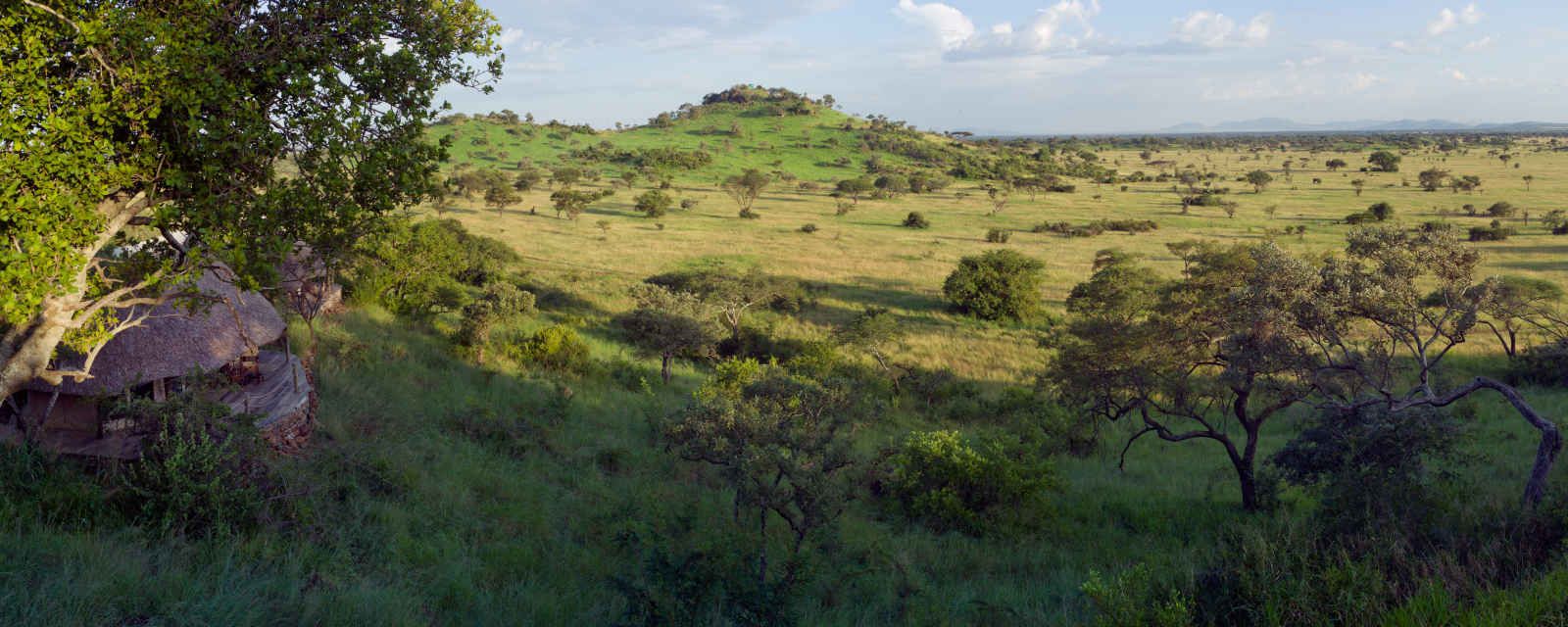 Souvenirs du Kilimandjaro + Extension à Mombasa pas cher photo 4