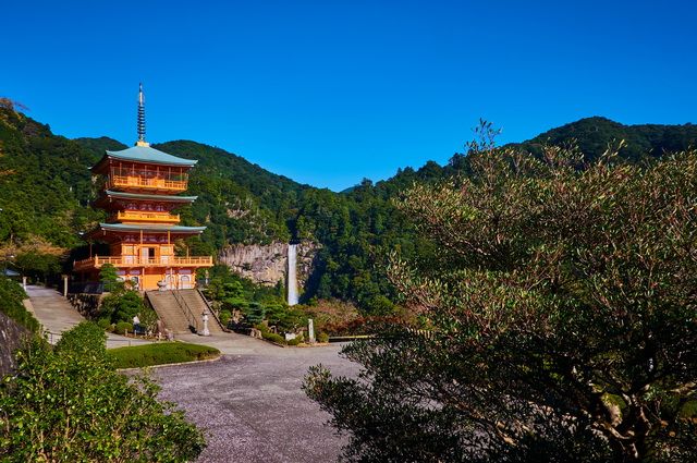 Esprit du Japon pas cher photo 10