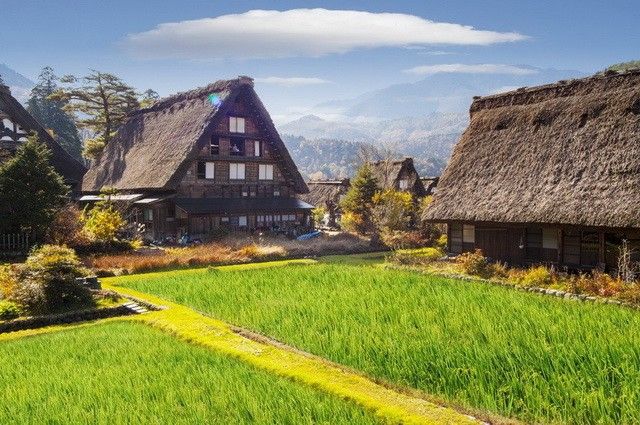 Esprit du Japon pas cher photo 12