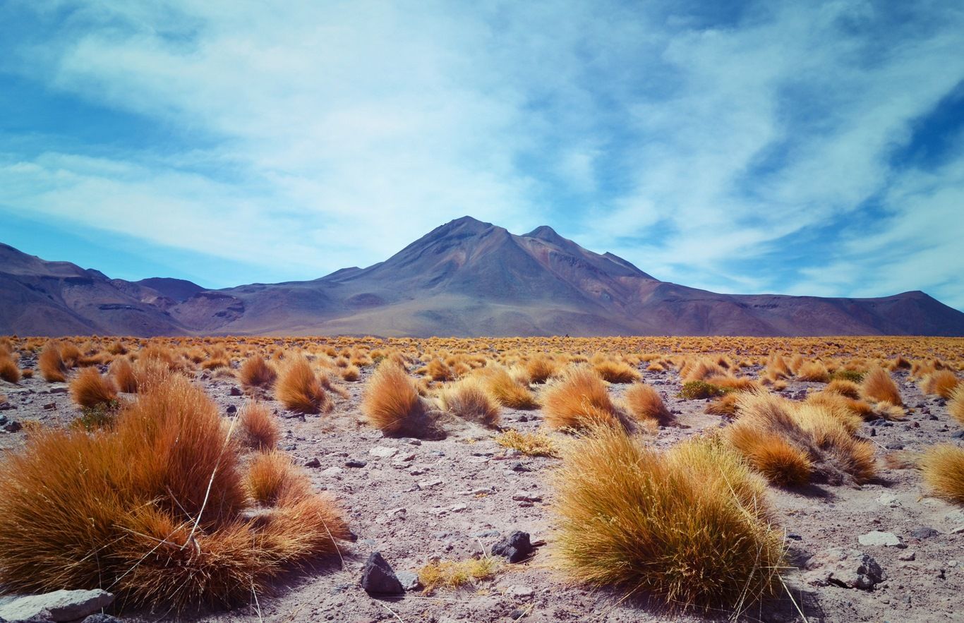 COULEURS DU CHILI ET DE L ILE DE PAQUES - 17J/14N - limité à 20 pers. - 2019/20 pas cher photo 12