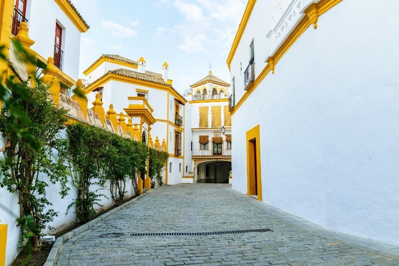 Sur les Routes Andalouses pas cher photo 11