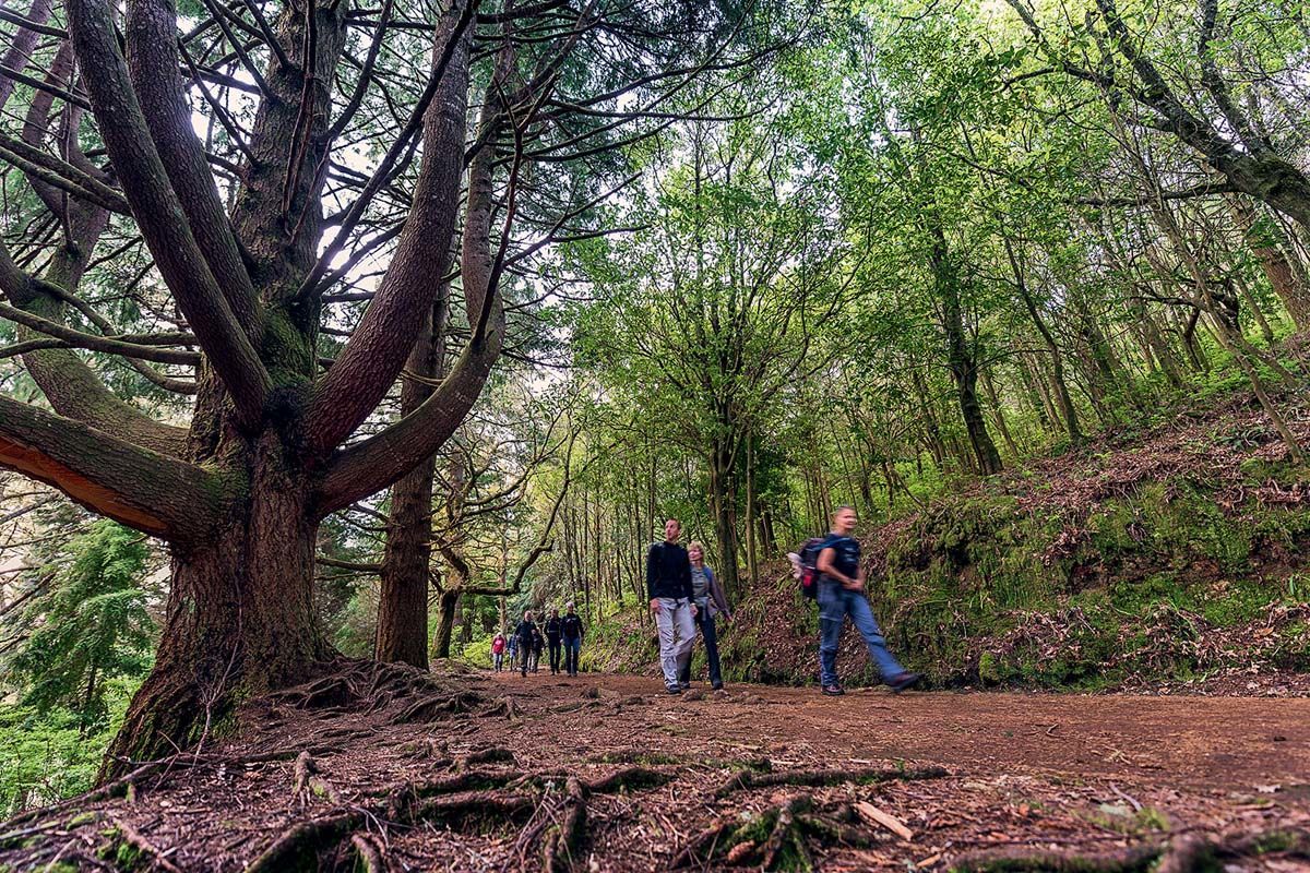 Circuit Echappée Sentiers de Madère depuis le Madeira Panoramico 4* pas cher photo 5